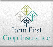 Farm First Crop Insurance